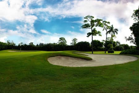 atlanta-golf-course-green