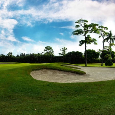 atlanta-golf-course-green