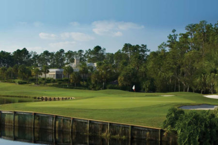 florida-golf-schools-saddlebrook-overview