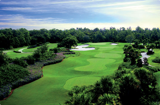 Ritz-Carlton Golf Resort
