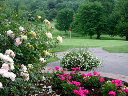 Crestview Country Club - Image 4