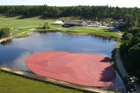 Southers Marsh Golf Club - Image 6