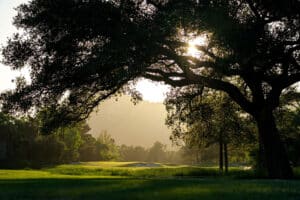 san-vincente-florida-golf-school-vacations-fairway