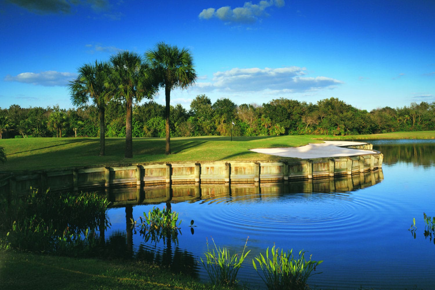 florida-golf-school-Plantation-Golf-&-Country-Club-lake